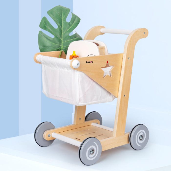 Trolley Push Walker